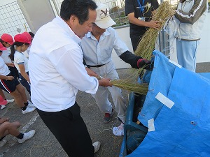 IMG_4463 IMG_4463