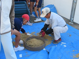 IMG_4473 IMG_4473