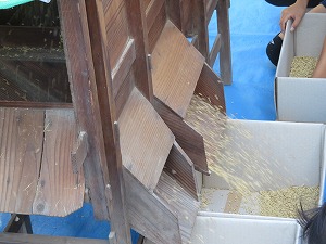 IMG_4498 IMG_4498