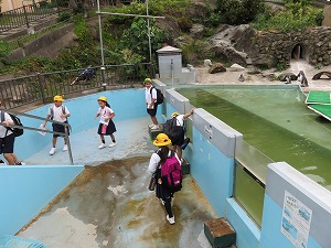 かみね動物園でペンギンを見ている様子 かみね動物園でペンギンを見ている様子