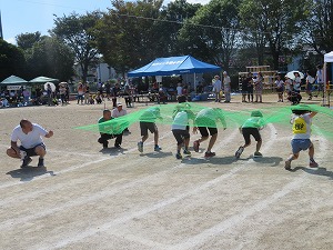 IMG_4570 IMG_4570