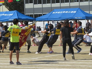 IMG_4581 IMG_4581