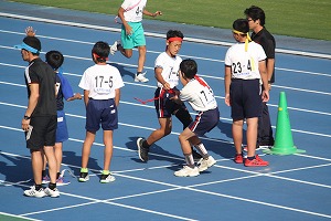 IMG_0486 IMG_0486