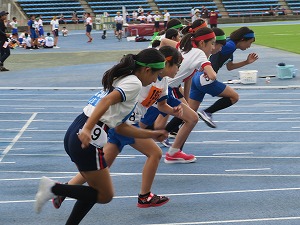 IMG_4641 IMG_4641
