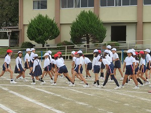 IMG_4774 IMG_4774