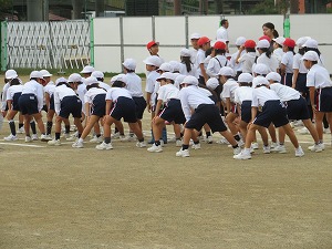 IMG_4773 IMG_4773