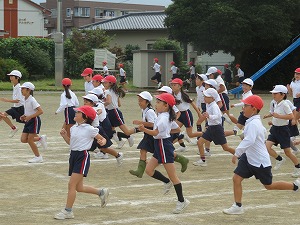 IMG_4776 IMG_4776