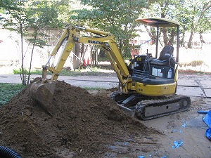 IMG_3087 IMG_3087