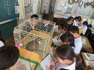 IMG_5188 IMG_5188