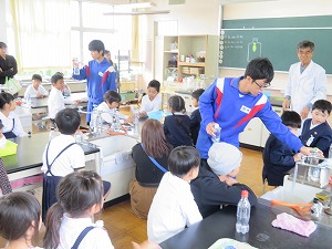 IMG_0007 IMG_0007