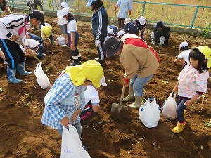 IMG_0135 IMG_0135