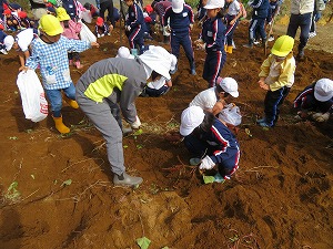 IMG_0143 IMG_0143