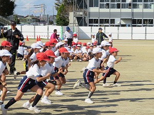 IMG_0341 IMG_0341