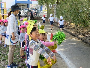 IMG_0353 IMG_0353