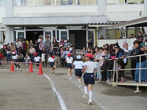 IMG_0393 IMG_0393