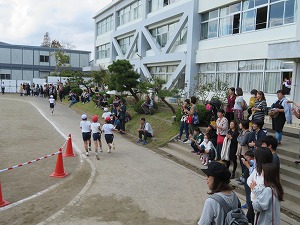 IMG_0397 IMG_0397