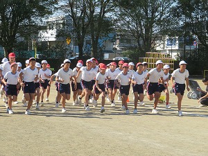 IMG_0318 IMG_0318