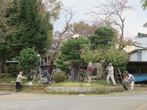 IMG_0599 IMG_0599