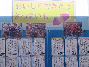 IMG_0780 IMG_0780