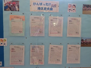 IMG_0774 IMG_0774