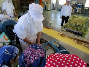 納豆をわらで包む様子 納豆をわらで包む様子