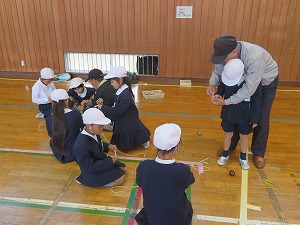 IMG_0831 IMG_0831