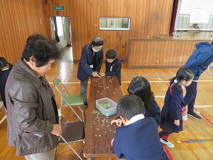 IMG_0812 IMG_0812