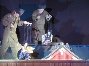 IMG_0925 IMG_0925