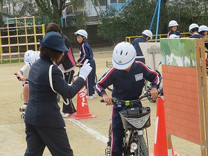 IMG_0940 IMG_0940