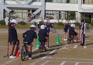 IMG_0950(2) IMG_0950(2)
