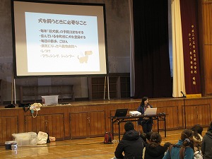 動物指導センターの方の説明