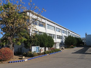 IMG_1436 IMG_1436
