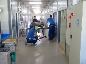 IMG_1464 IMG_1464