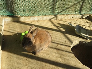 IMG_1485 IMG_1485