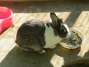 IMG_1490 IMG_1490