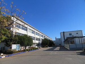 IMG_1491 IMG_1491