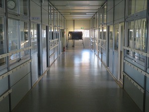 IMG_1501 IMG_1501
