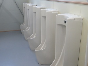 IMG_1498 IMG_1498