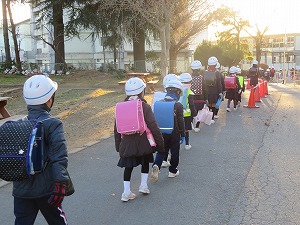 IMG_1586 IMG_1586