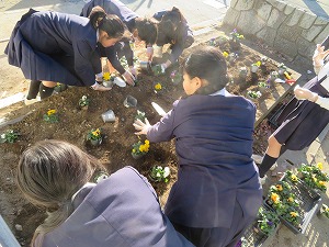 IMG_1665 IMG_1665