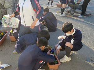 IMG_1672 IMG_1672