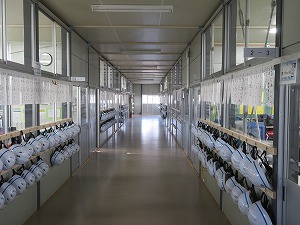 IMG_1768 IMG_1768