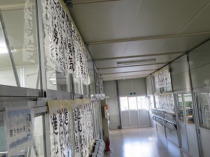 IMG_1769 IMG_1769