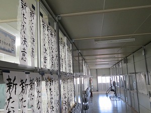 IMG_1770 IMG_1770