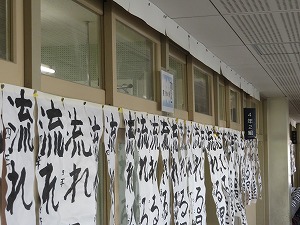 IMG_1774 IMG_1774