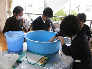 洗濯板で洗濯している様子 洗濯板で洗濯している様子