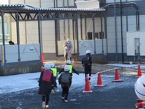 IMG_1944 IMG_1944