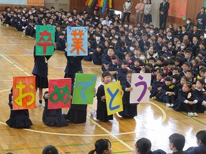 IMG_2954 IMG_2954