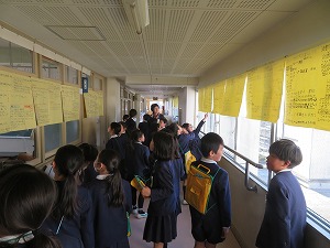 IMG_3133 IMG_3133