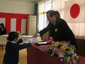IMG_3145 IMG_3145